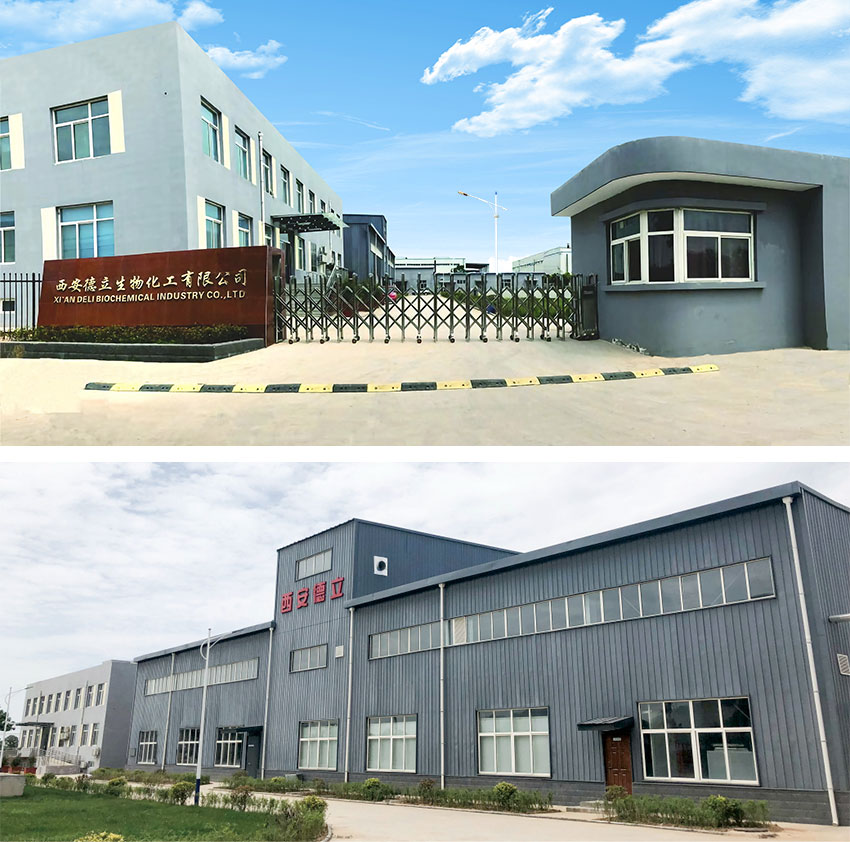 Xi'an डेली बायोकिम उद्योग को। LTD साइक्लोदेफ्रिन डेरिभेटिभमा अग्रणी नवीनता, फार्मास्युटिकईटिक उद्योग सशक्त बनाउँदछ।